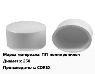 Заглушка полипропилен, полиэтилен, металлопластик ПП-полипропилен D=250 COREX